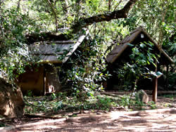 Riverwild safari